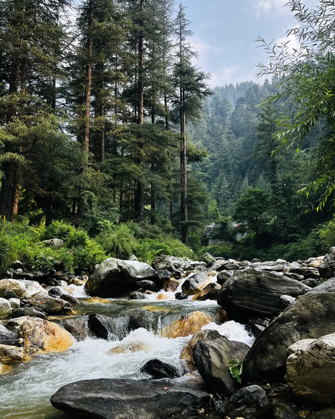 best time to visit jibhi